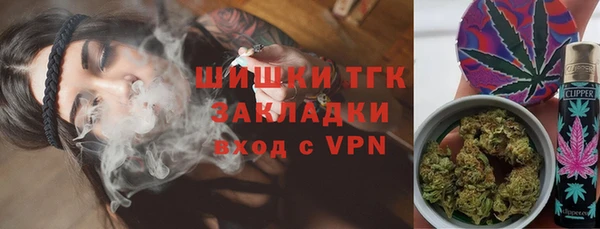 трава Бородино