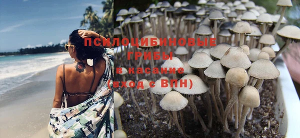 СК Верея