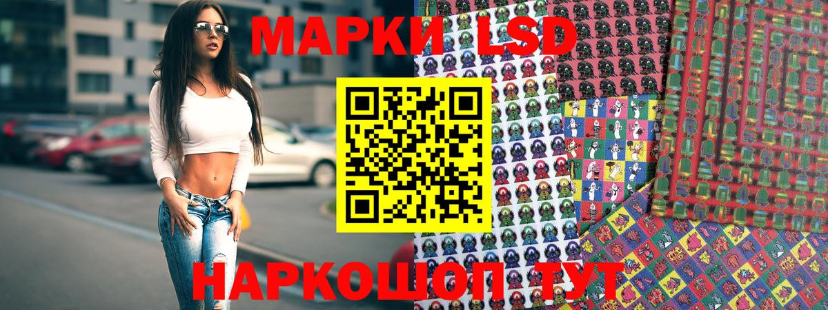Свободный  Наркотические марки 1,8мг  Наркотические марки 1,8мг  Наркотические марки  цена наркотик  Вход с VPN 