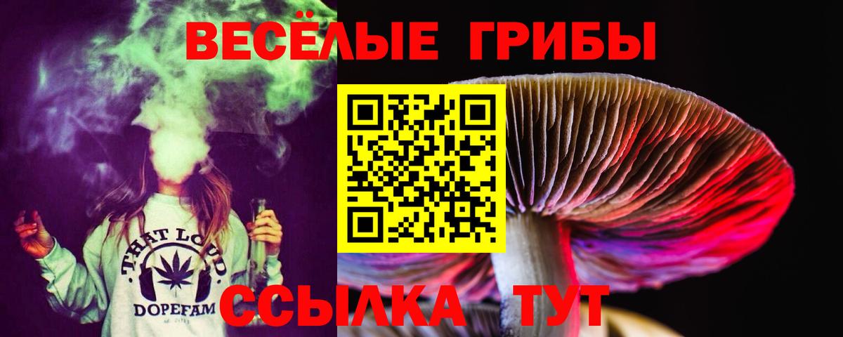 Свободный  Галлюциногенные грибы Magic Shrooms  Вход с VPN 